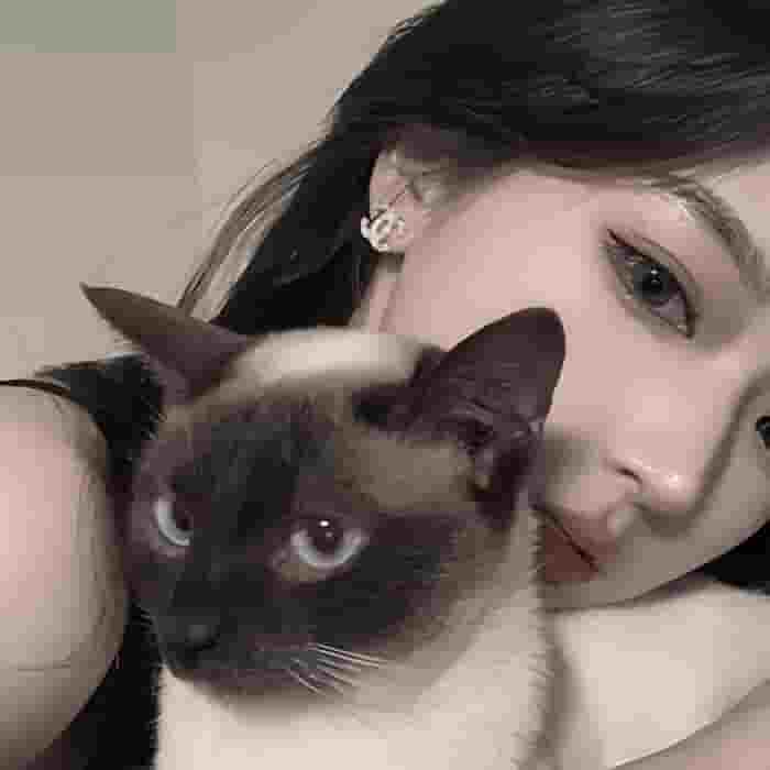 2B範er的小青年