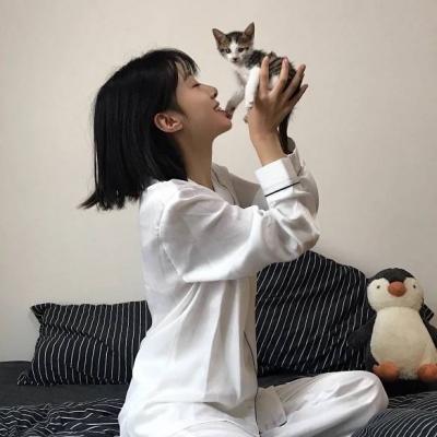 犯甩的价钱
