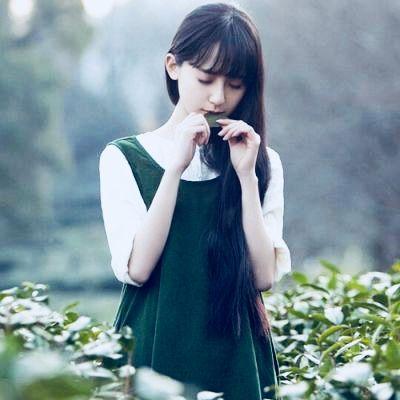Provoke(招惹)