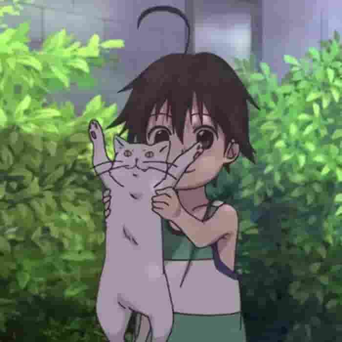 伤终究照旧伤i