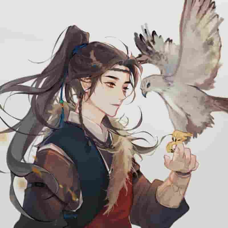 属猫人