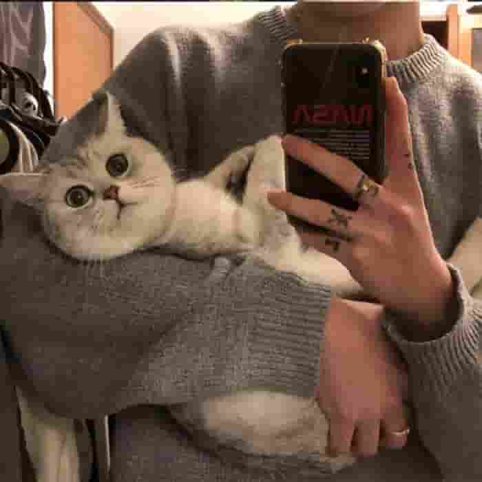 就放过自己