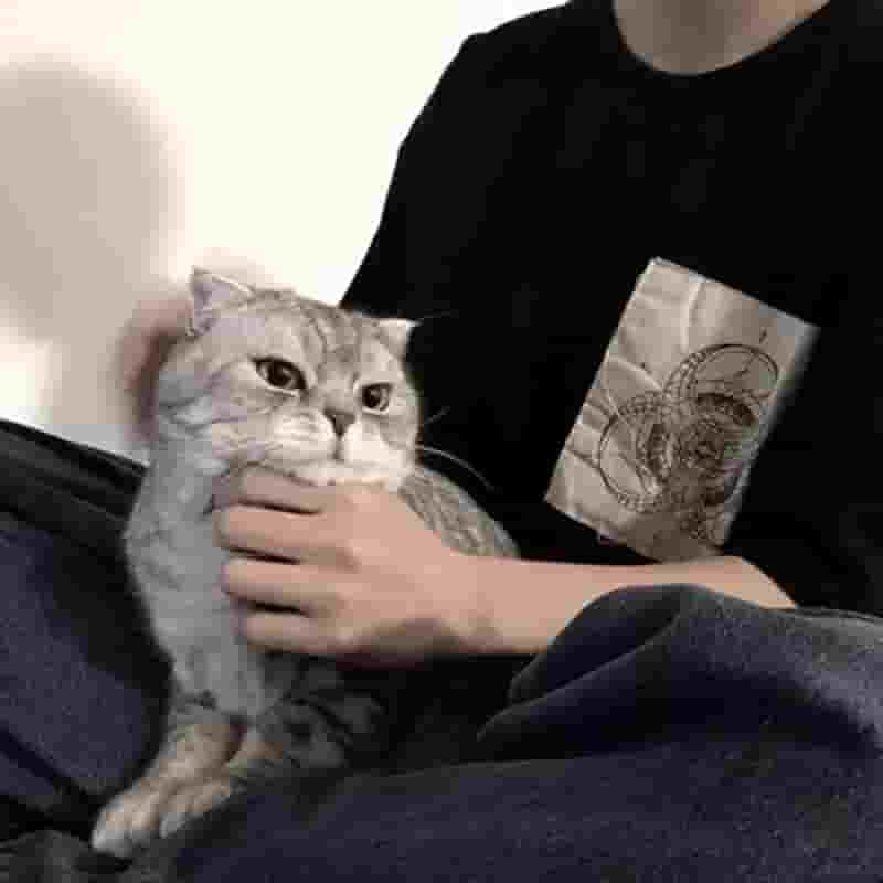 一秒钟的永恒。。