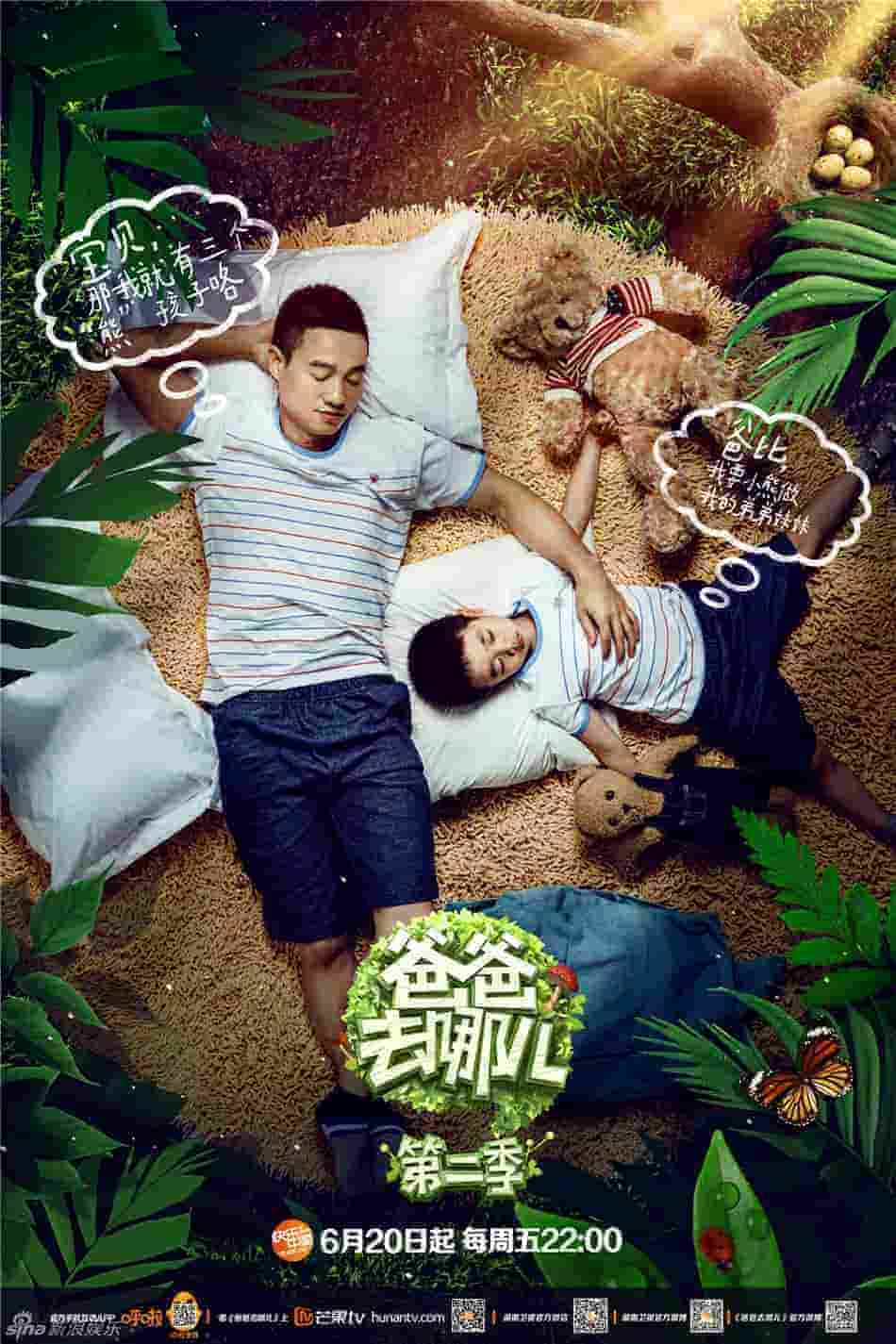 春暖花开电视剧全集在线