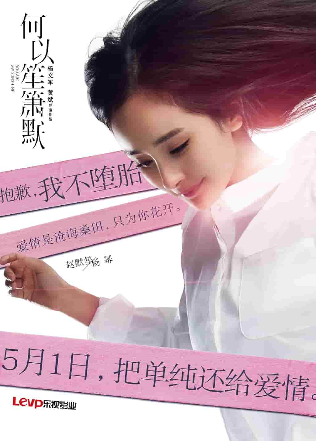 小刘公全集胡银花