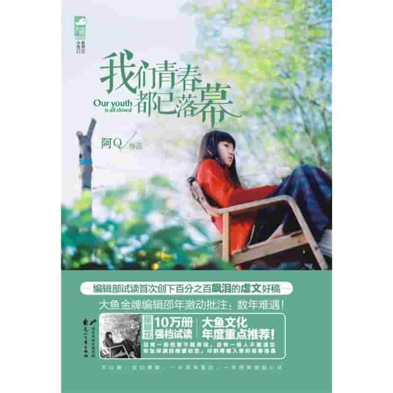 内地有关厨师的电视剧