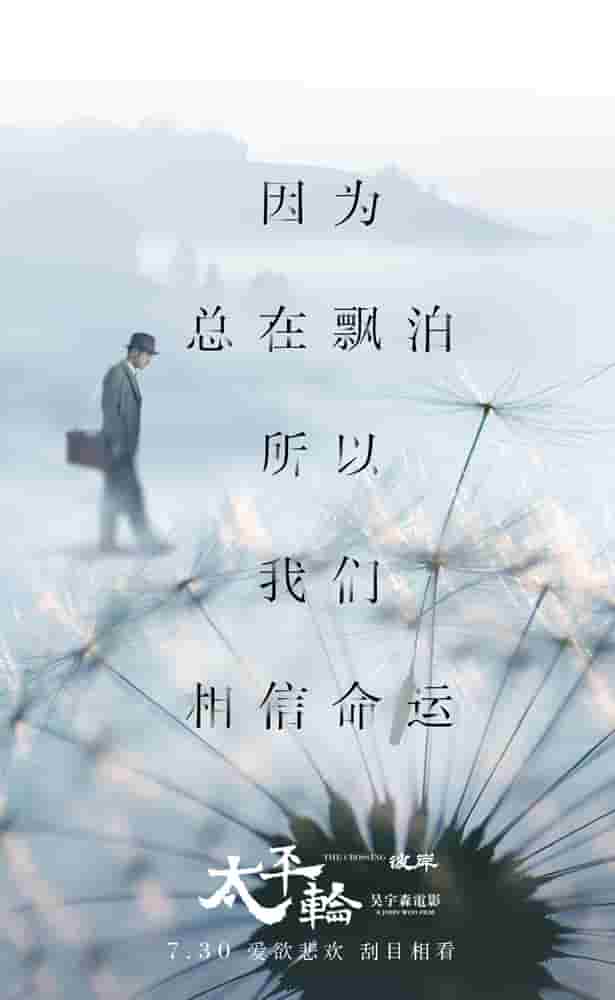 致青春电视剧几点播